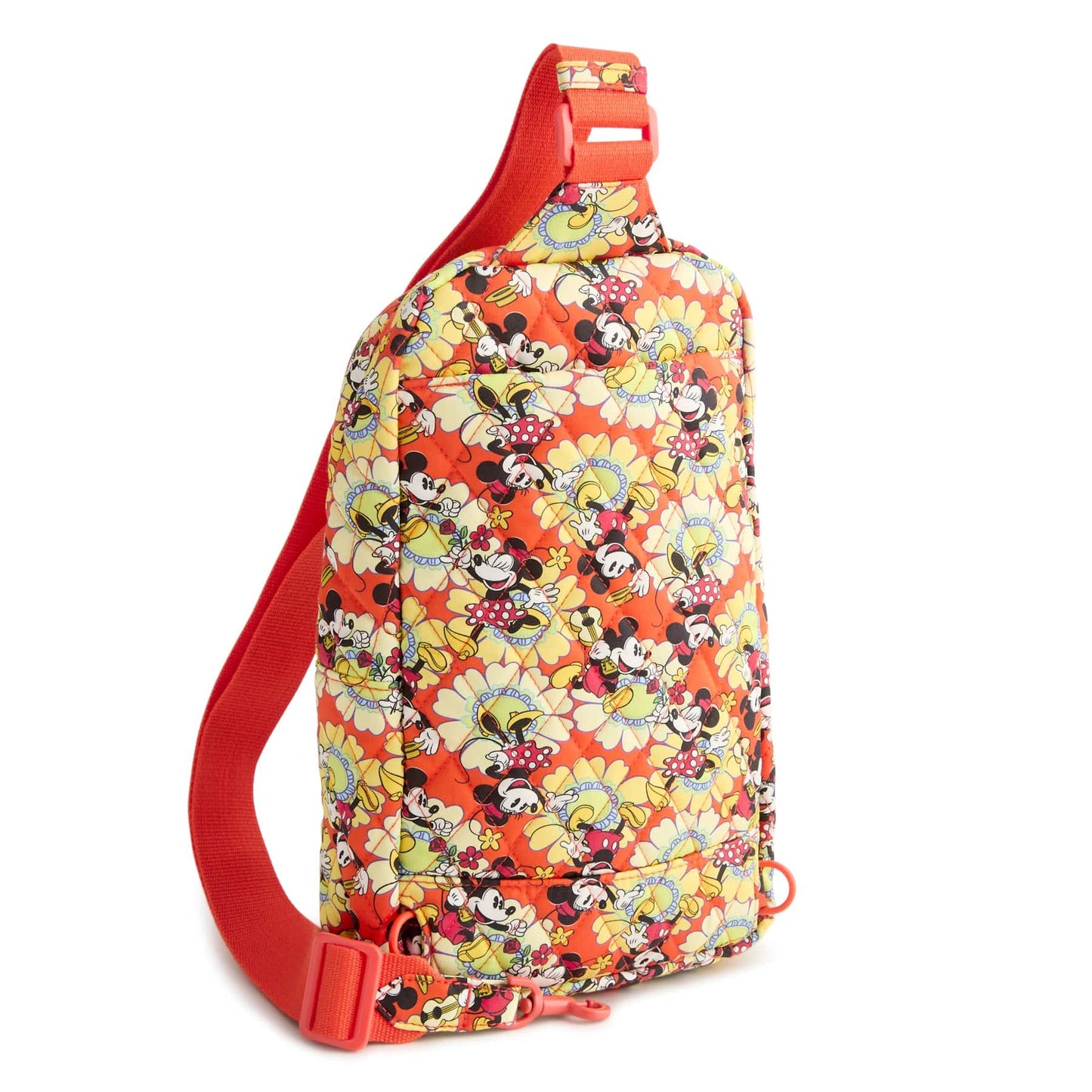 5290923454-V5.jpg