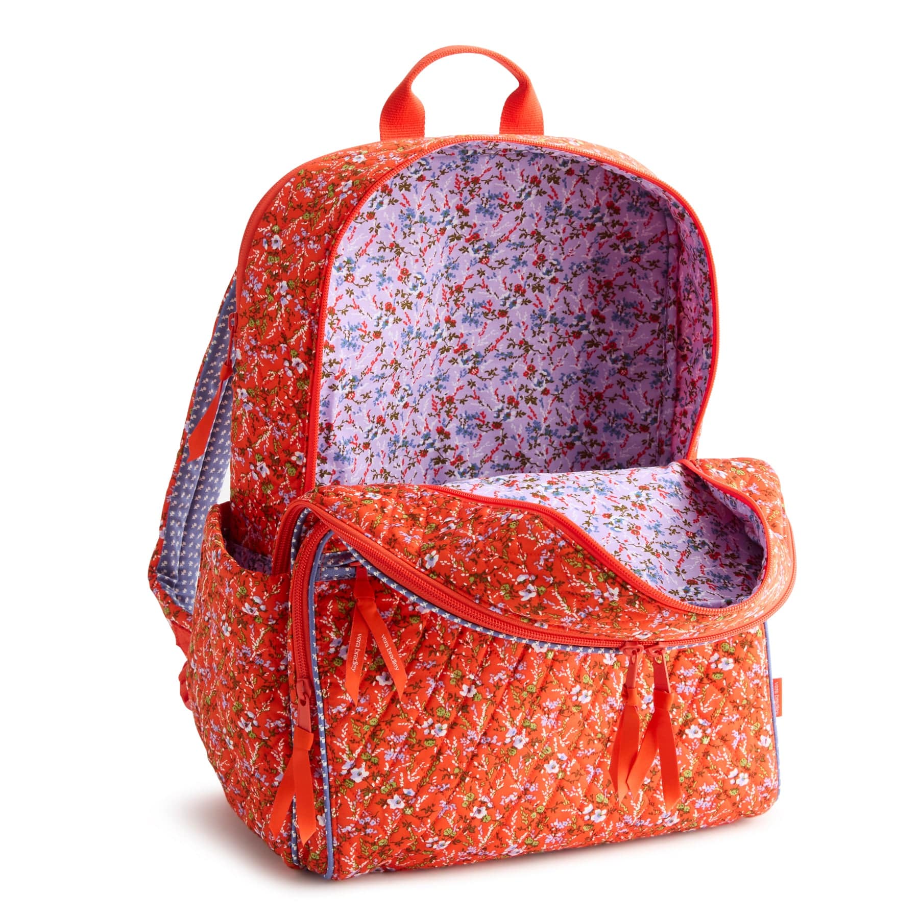 5367723449-V10.jpg